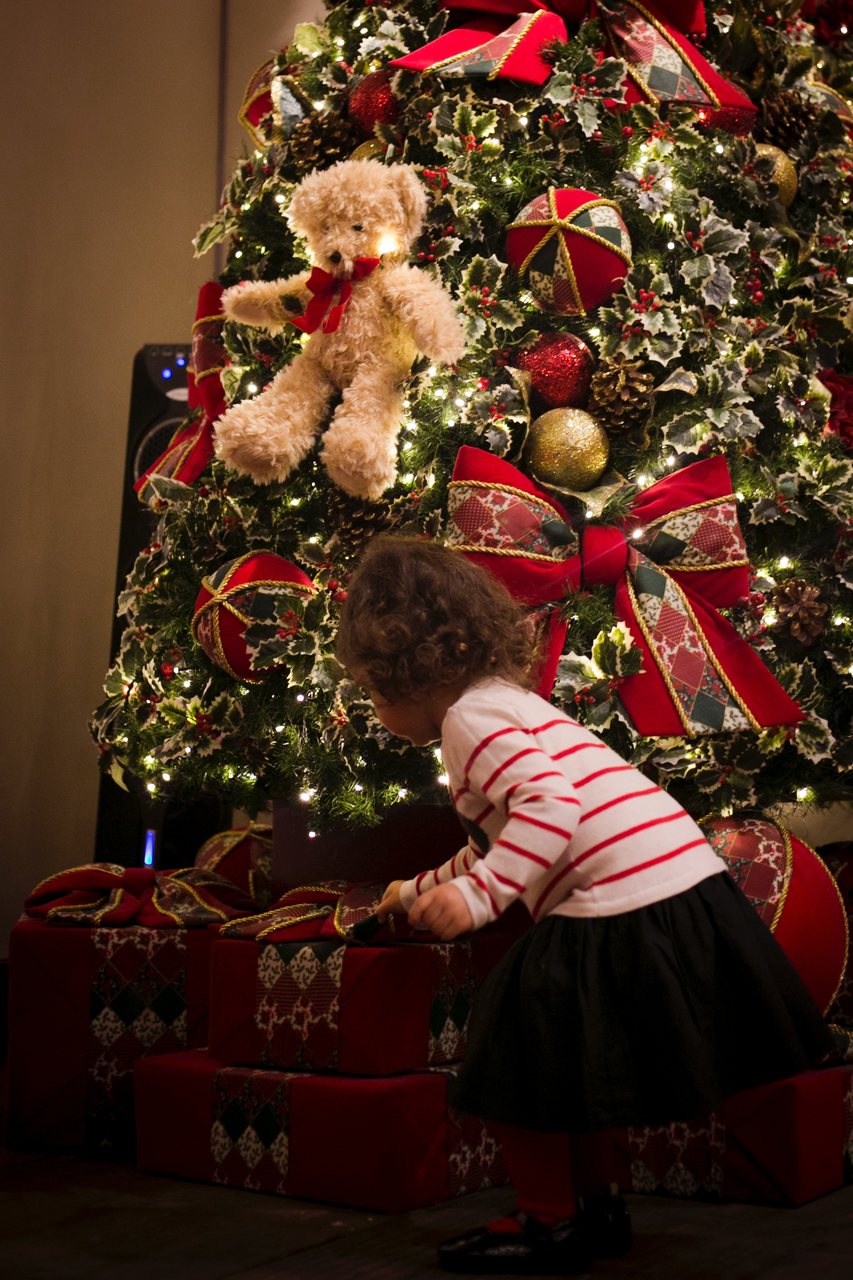 Como decorar uma Árvore de Natal