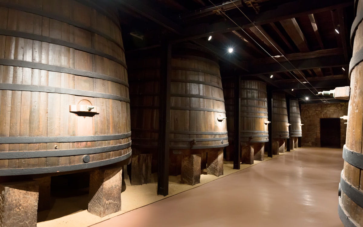 cidade do porto, caves do vinho interior